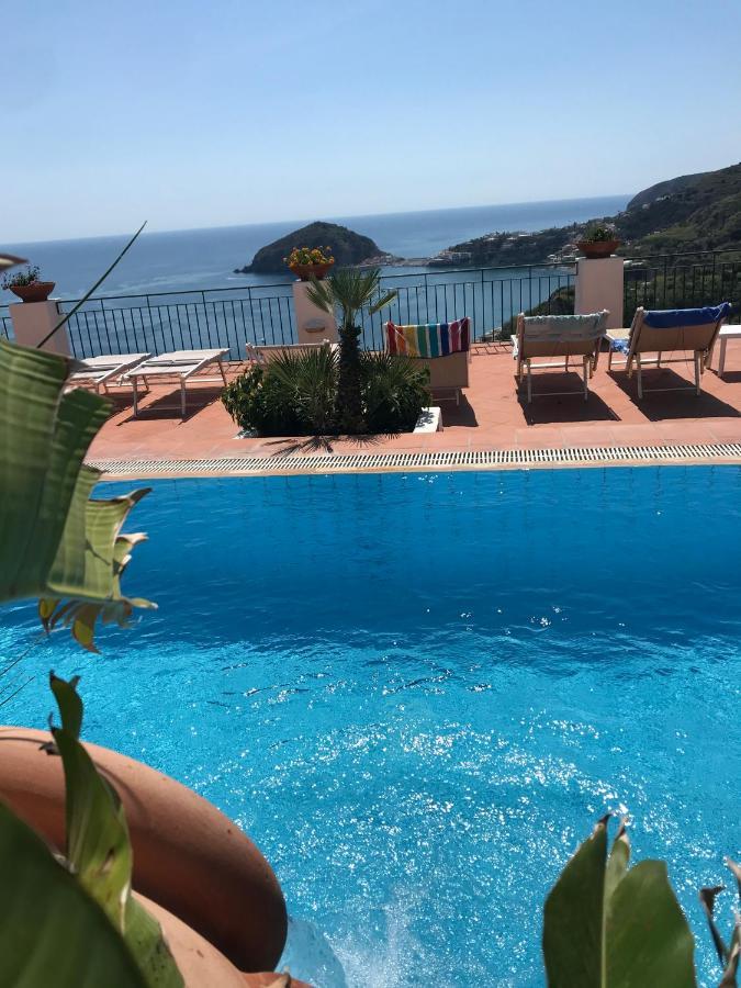 L' Ulivo Villa Nunzia Barano dʼIschia Екстериор снимка