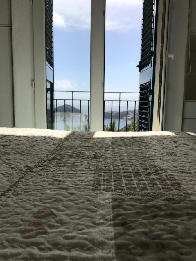 L' Ulivo Villa Nunzia Barano dʼIschia Екстериор снимка