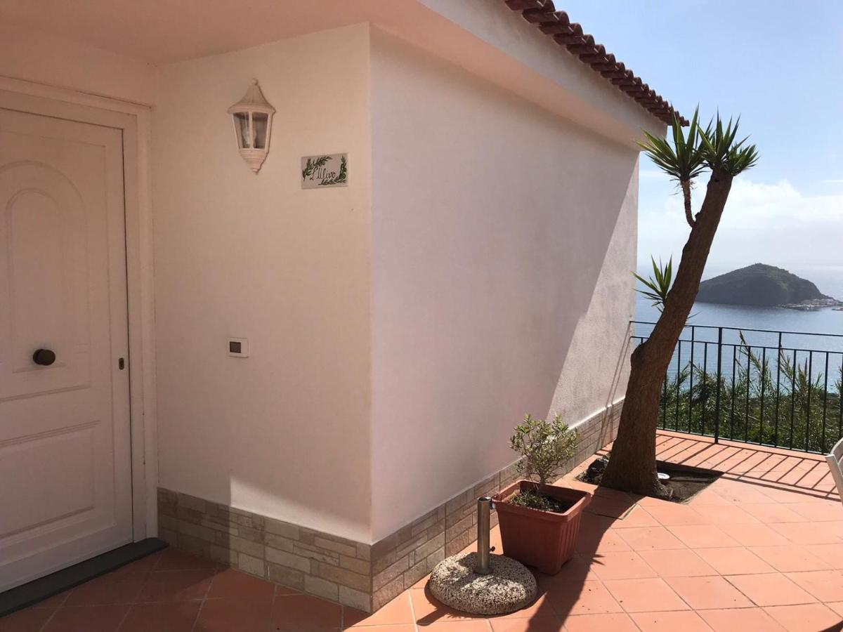L' Ulivo Villa Nunzia Barano dʼIschia Екстериор снимка